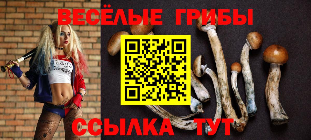 Долгопрудный  МЕТ  МЕФ кристаллы  А ПВП СК   ГАШ  Вход с VPN  MDMA  COCAIN 