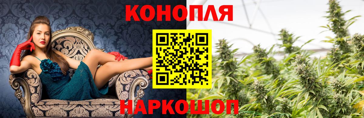 Шишки марихуана OG Kush Долгопрудный